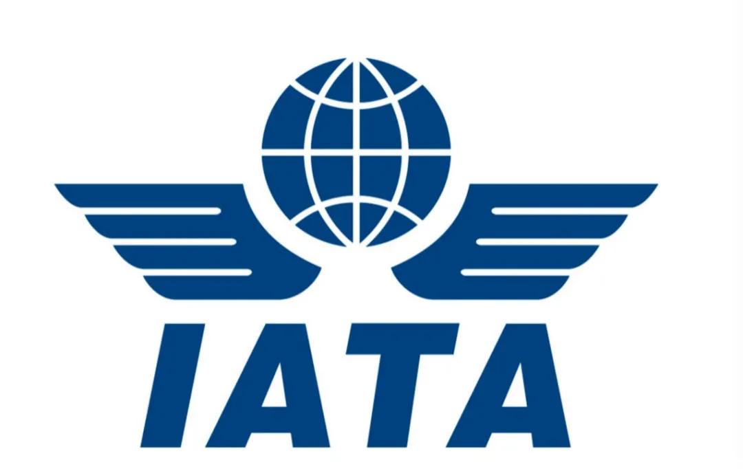 IATA：2020-2022全球航空业亏损2010亿美元 亏损收窄但挑战继续